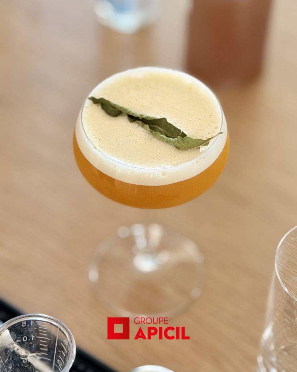 Vue depuis le 40ᵉ étage de la Tour To-Lyon lors d’un atelier cocktails