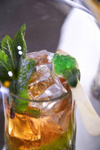 Service de barman mixologue à domicile pour votre soirée de gala à Lyon 2