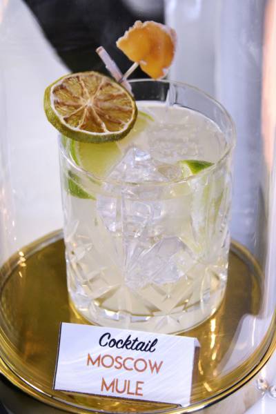 Barman mixologue mobile pour votre événement d'entreprise à Lyon 2