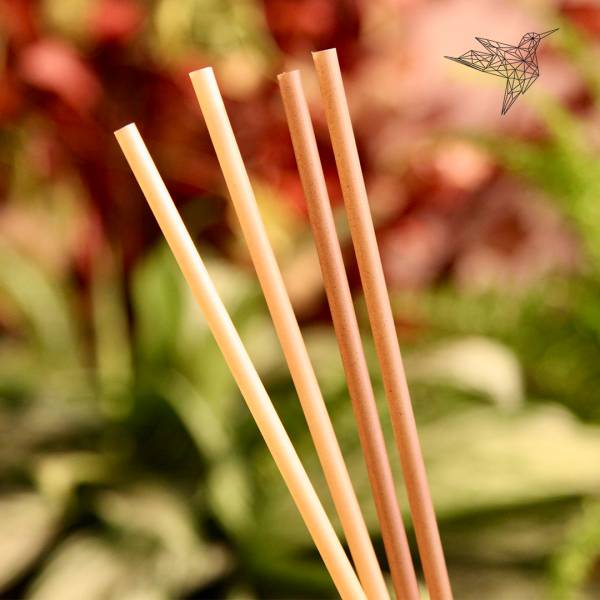 Les pailles écoresponsables pour votre événement professionnel à Lyon