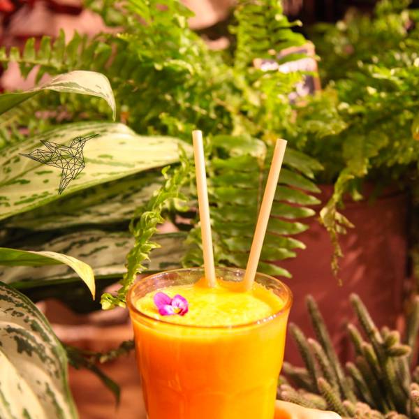 Service de cocktails avec des pailles compostable à Lyon