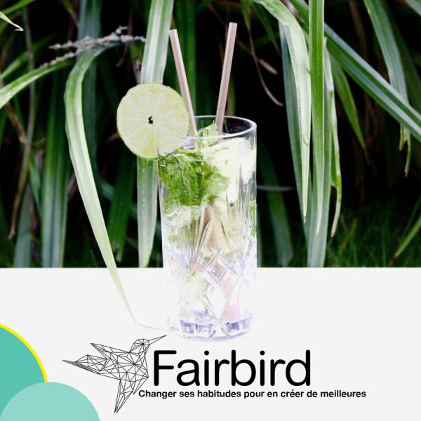 Les pailles 100% biodégradables pour votre soirée privée à Lyon