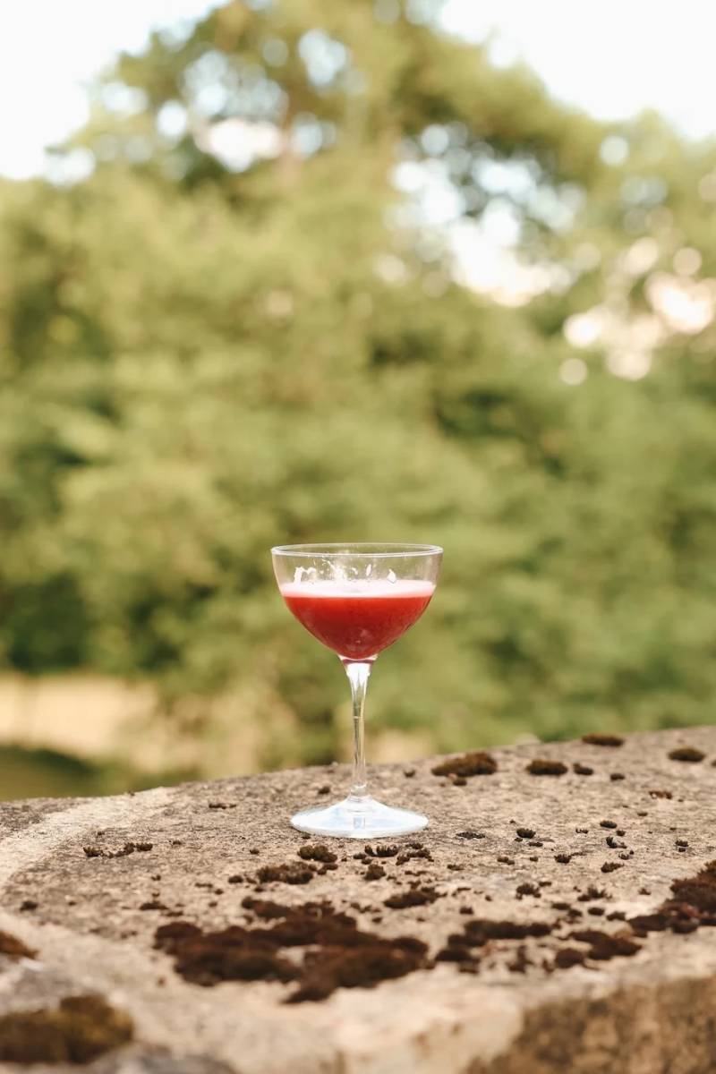 Bar à cocktails mobile pour mariage à Lyon – Élégance et convivialité